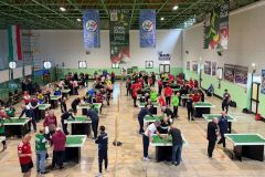 A Castiglione della Pescaia la Coppa Italia di Subbuteo - 5