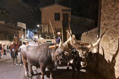 A Castiglione la rievocazione storica della Passione di Cristo - 12