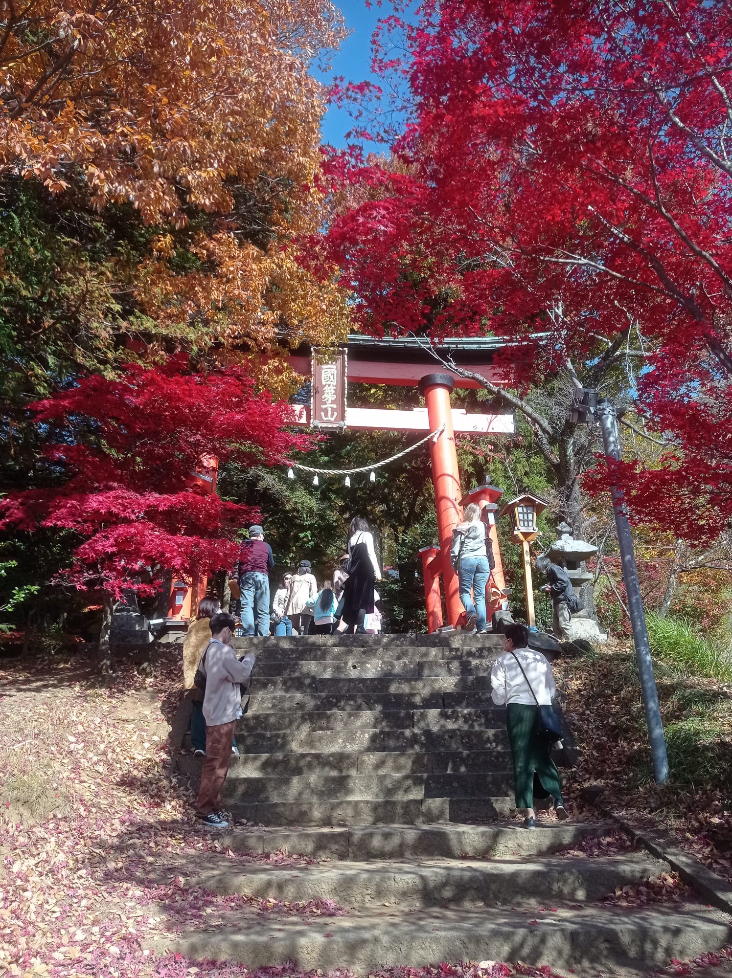 Antonio-Briganti-Torii-rosso-del-tempio-di-Chureito-Fujiyoshida-Giappone