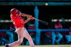 Baseball seria A gold, Bbc Grosseto contro Unipol Fortitudo Bologna foto Aldo Giuliani - 2