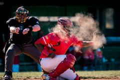 Baseball seria A gold, Bbc Grosseto contro Unipol Fortitudo Bologna foto Aldo Giuliani - 5