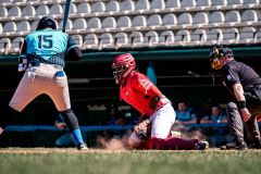 Baseball seria A gold, Bbc Grosseto contro Unipol Fortitudo Bologna foto Aldo Giuliani - 6