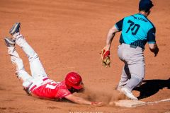 Baseball seria A gold, Bbc Grosseto contro Unipol Fortitudo Bologna foto Aldo Giuliani - 9