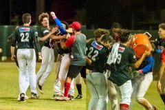Baseball serie A, Bsc Grosseto-Nettuno foto di Noemy Letteri - 2