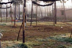 camping-pappasole-lavori-valdicornia-oggi-04