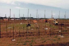 camping-pappasole-lavori-valdicornia-oggi-10