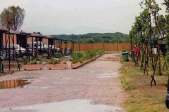 camping-pappasole-lavori-valdicornia-oggi-11