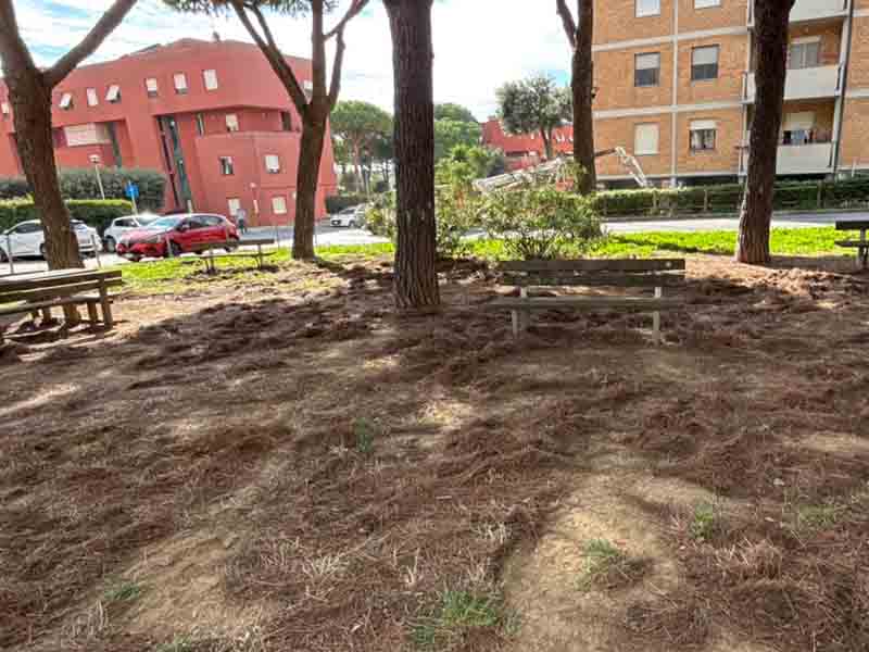 diaccioni-piombino-02-32