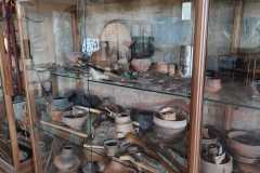 La collezione degli albori