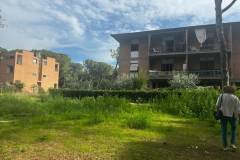 parco-marina2