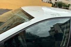 auto-palo-sradicato11