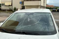 auto-palo-sradicato6