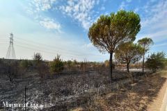 campo-scuola-protezione-civile@maremmaoggi - 3