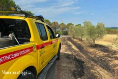 campo-scuola-protezione-civile@maremmaoggi - 5