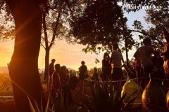 parco-diversivo@maremmaoggi - 1