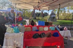 mercatini-di-natale-comitato-roselle-maremma-oggi-10