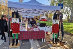 mercatini-di-natale-comitato-roselle-maremma-oggi-11