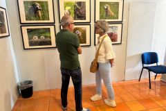 mostra-aldo3