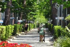 campeggio-pappasole-valdicornia-oggi-01