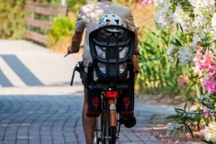 campeggio-pappasole-valdicornia-oggi-03