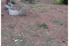 foto-01
