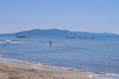 Pasqua con il sole, la Maremma presa d'assalto dai turisti - 7