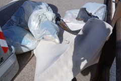 comitato-roselle-puizia-paese-maremma-oggi-06