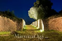 foto interne pezzi - non toccare - 4