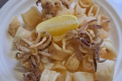 sagra-tortelli-e-calamari-piatti-2