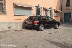 Per galleria NextGen - 1