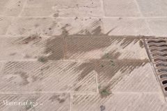 Per galleria NextGen - 10