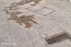 Per galleria NextGen - 12