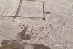 Per galleria NextGen - 2