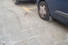 Per galleria NextGen - 8