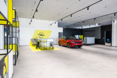 siena-motori-maremmaoggi-5