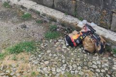 foto interne pezzi - non toccare - 3