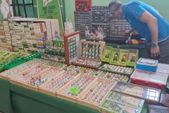 Subbuteo, al Casa Mora di Castiglione torna la Coppa Italia tradizionale - 3