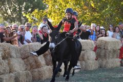 Vetulonia, il palio dei ciuchi lo vince la contrada della Torre (foto Luca Maria Lucini) - 13