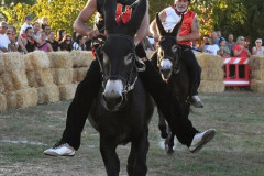 Vetulonia, il palio dei ciuchi lo vince la contrada della Torre (foto Luca Maria Lucini) - 15