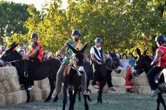Vetulonia, il palio dei ciuchi lo vince la contrada della Torre (foto Luca Maria Lucini) - 16