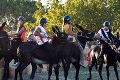 Vetulonia, il palio dei ciuchi lo vince la contrada della Torre (foto Luca Maria Lucini) - 3
