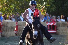 Vetulonia, il palio dei ciuchi lo vince la contrada della Torre (foto Luca Maria Lucini) - 8
