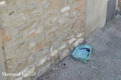 campo-scuola-protezione-civile@maremmaoggi - 1