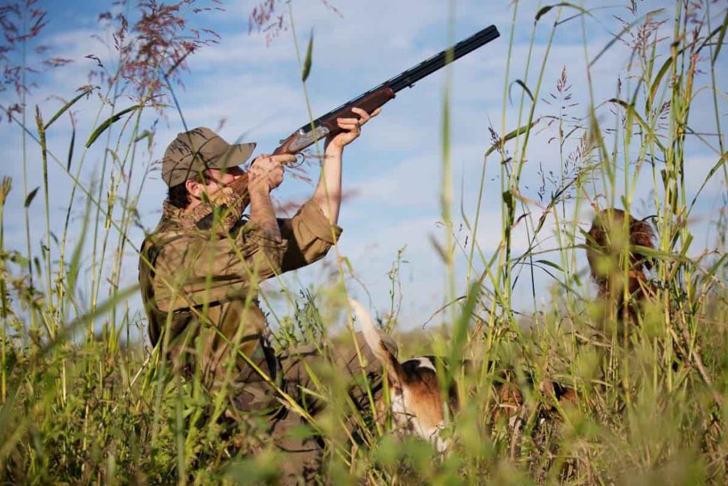 Un cacciatore in azione (foto d'archivio)