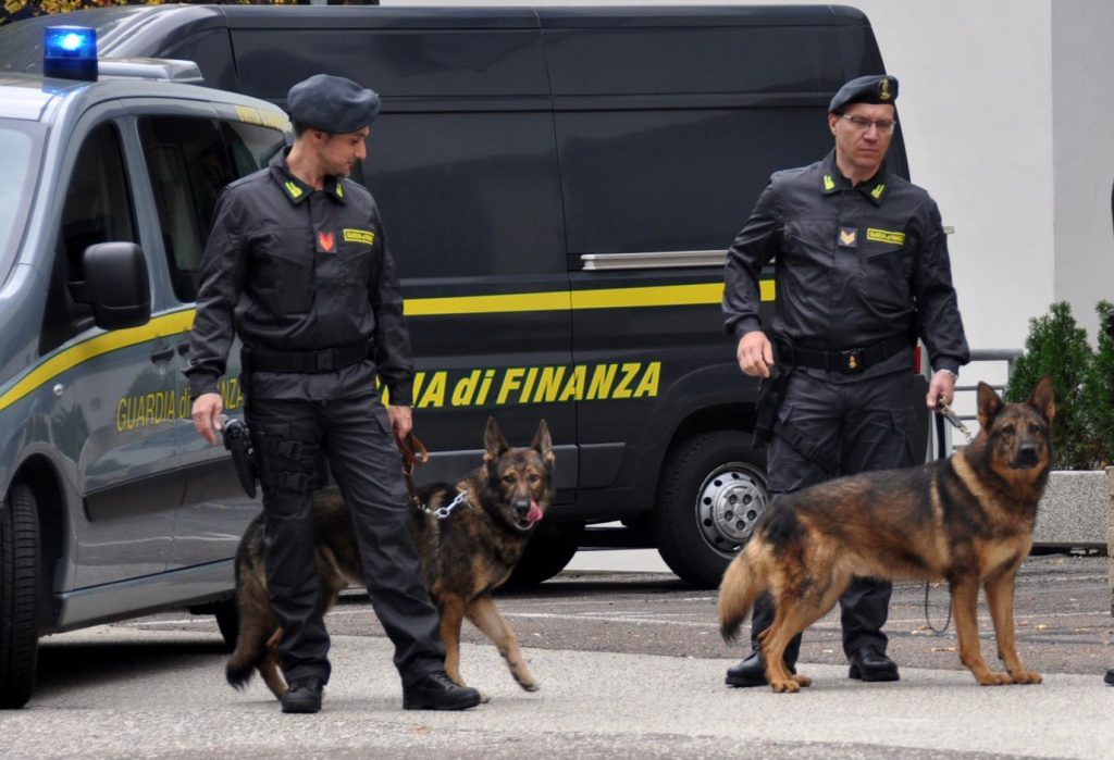 I cani anti droga della guardia di finanza