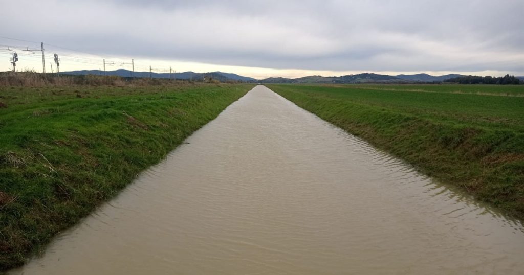 Il canale principale di Campo Regio - maremmaoggi.net