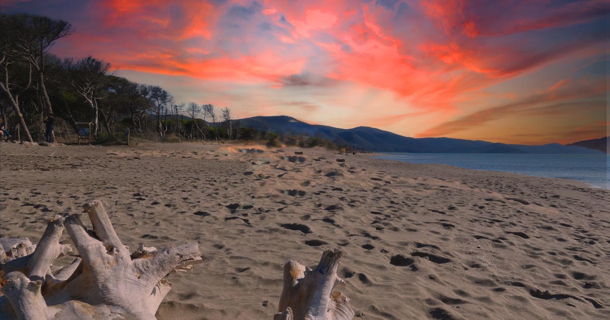 Il parco della Maremma ad Alberese (foto di Andrea Sapienza)