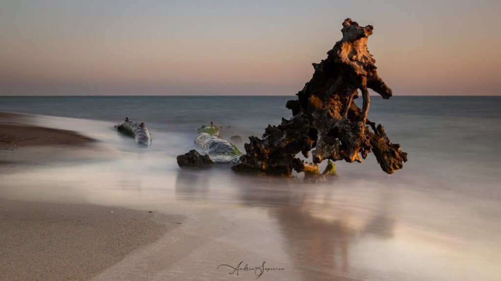 Il "drago" di Andrea Sapienza sulla spiaggia di Principina