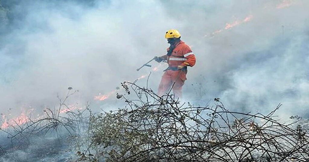 Un volontario al lavoro su un incendio nella zona di Scansano