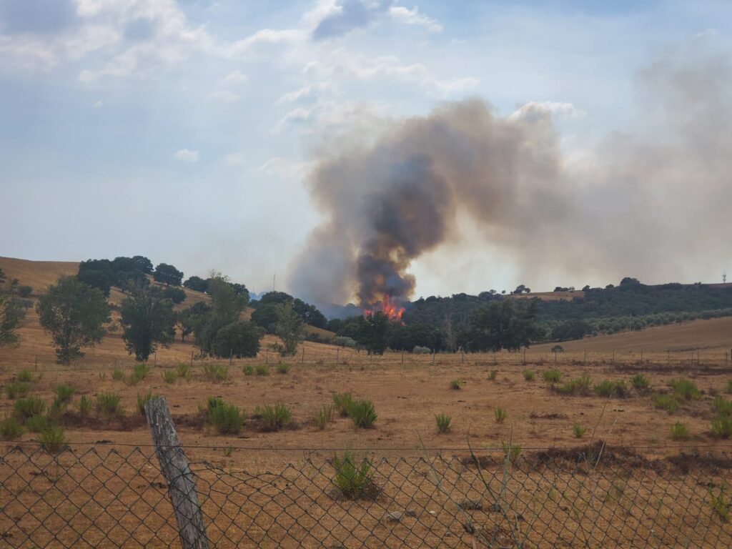 Un'immagine dell'incendio a Roselle